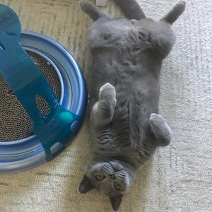 Meet your Posher, Jillian